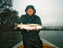 steelhead fishing upper sacramento river